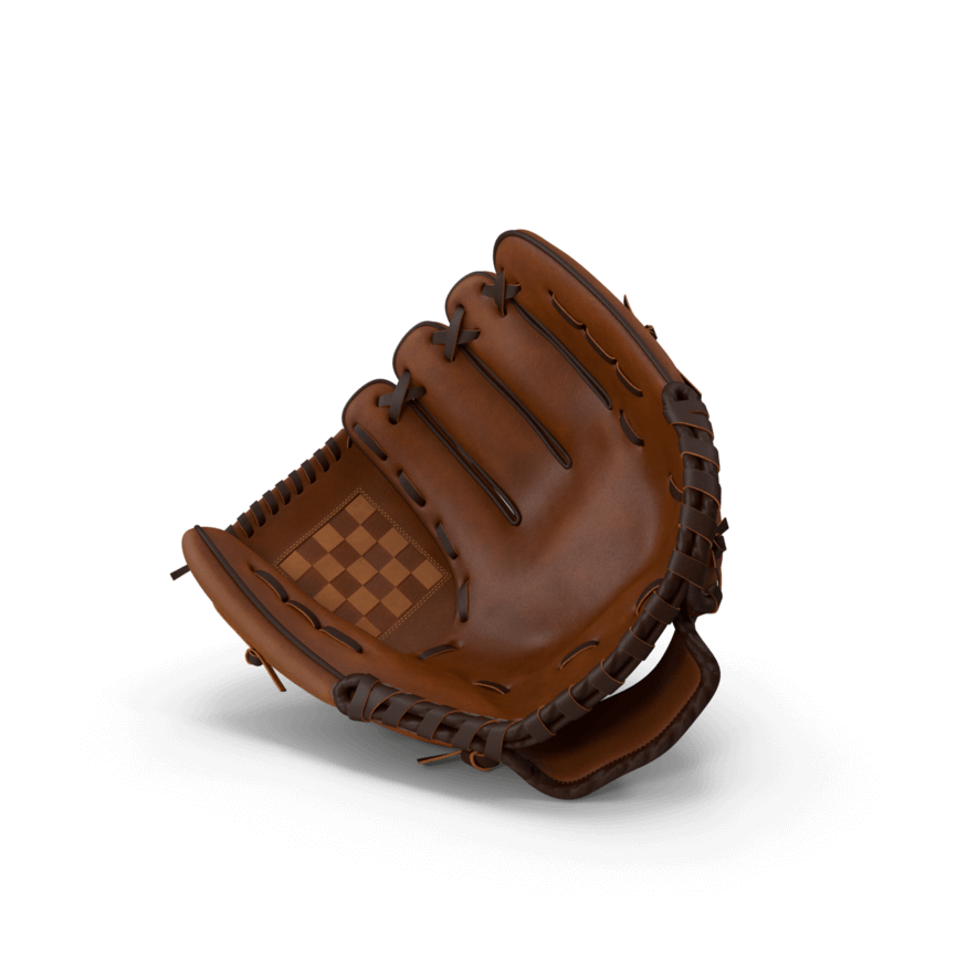 Professional Baseball Glove
