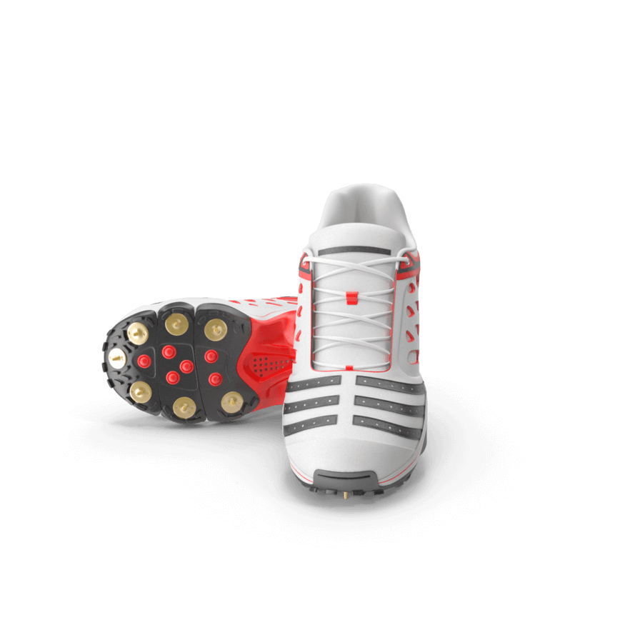 Performance Cricket Shoes